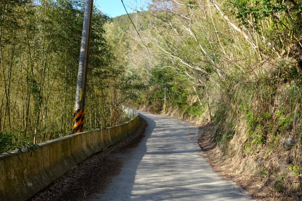 新竹尖石鄉 高島縦走1280655