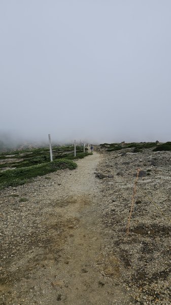 240810-藏王西端連峰熊野岳、馬之背、五色岳（御釜）、刈田岳縱走。美美兔第一次海外走山。2603736