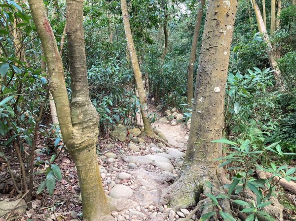 火炎山登山步道2386036