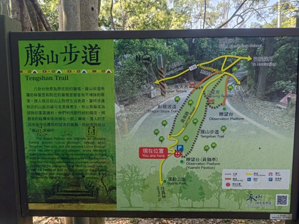 藤山步道登樟普寮一等三角點+挑水古道2749484
