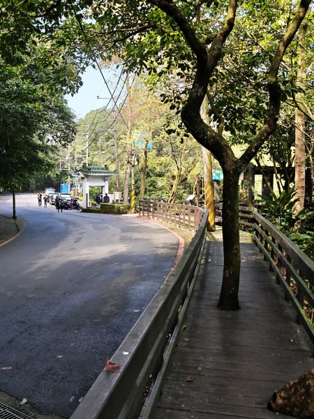 2026-0221造鎮-太極嶺-桐花公園-承天禪寺-永寧站3005809