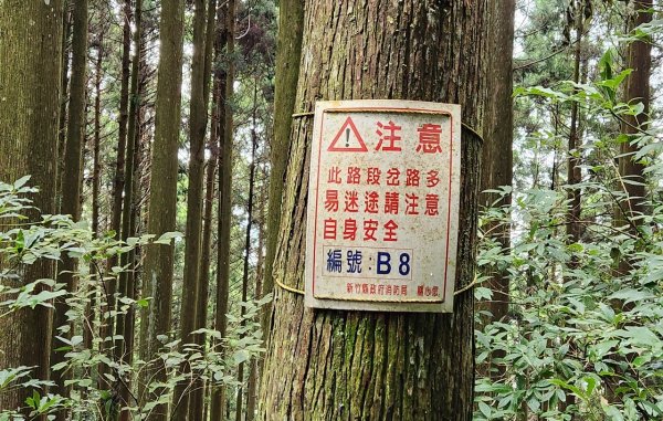 【中級山】有一種美，令人不想回家，新竹鵝公髻山2744659