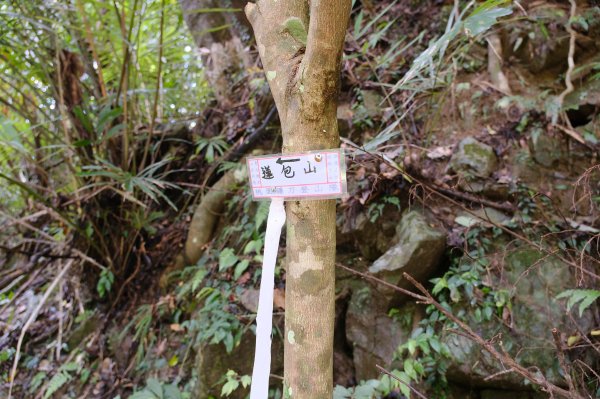 外鳥嘴山3131028