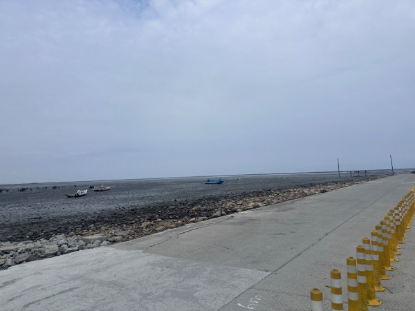 芳苑濕地紅樹林海空步道2766455