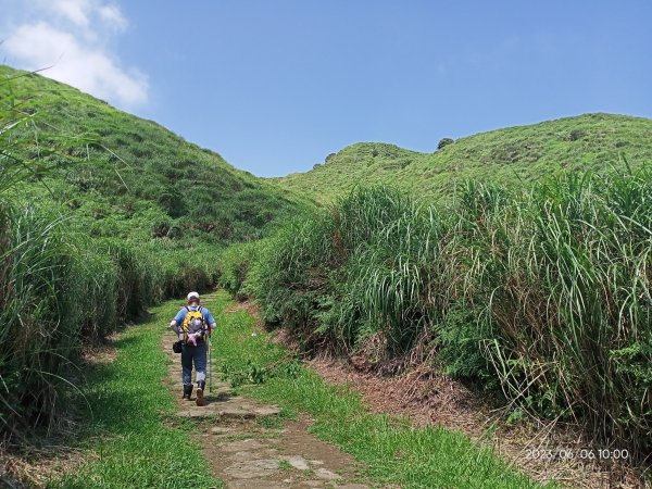 金包里大路(擎天崗至上磺溪停車場段)【走遍陽明山】2174796