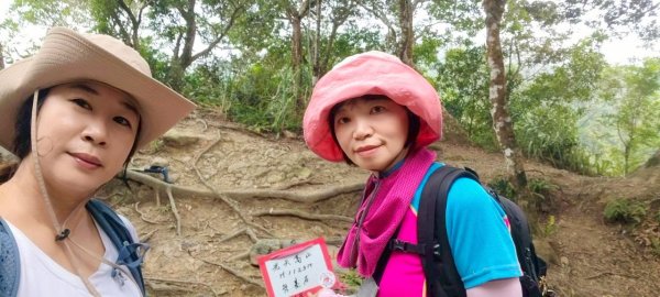 【苗栗南庄】向天湖山光天高山小O繞2933163