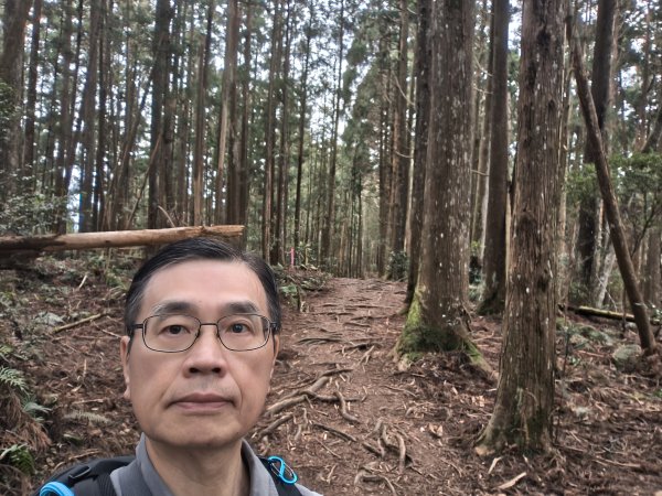高島縱走、馬胎南坪古道2724272