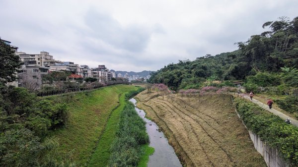 樂活公園,五分埤步道2411014