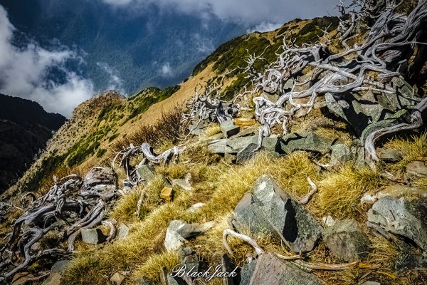 雪山主峰一日單攻963373