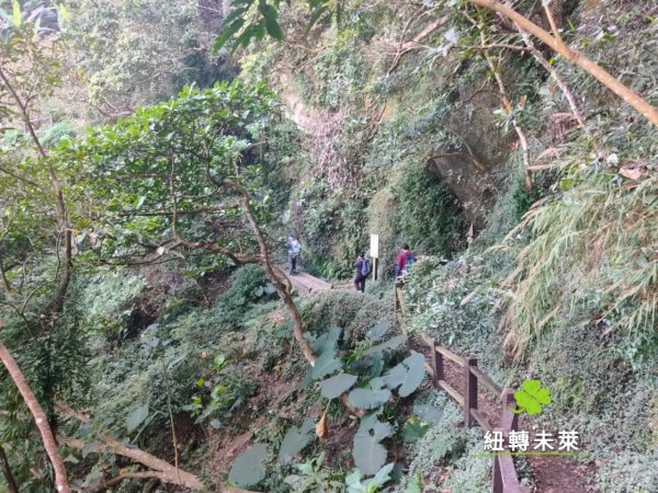 崁頭山漫遊818171