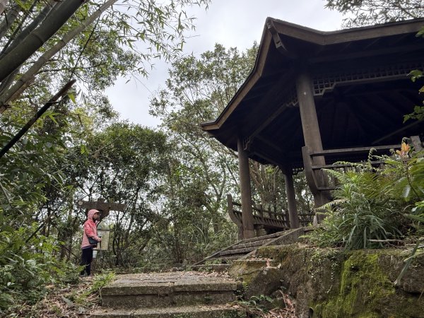 土庫岳-202503172770513