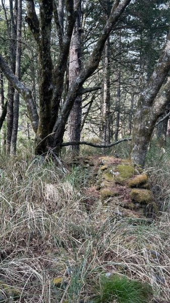 秀林塔次基里溪古關原3027623