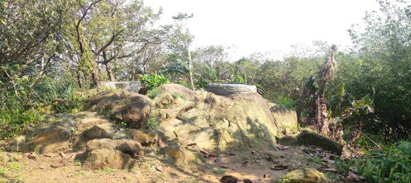 福源山步道2730321