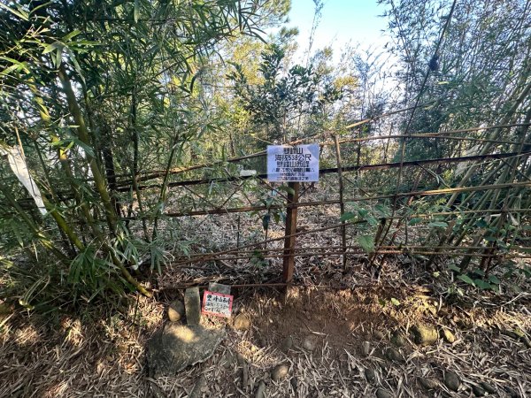 苗栗三義-三員縱走2616417