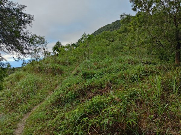 2023.12.14 鵲子山2804616