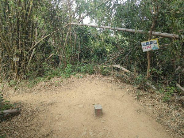 2024.12.21－旗尾山步道2677412