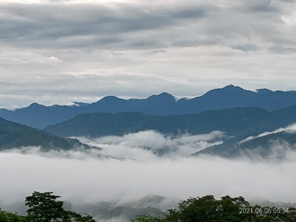 六月上旬晨走義確山下1413407