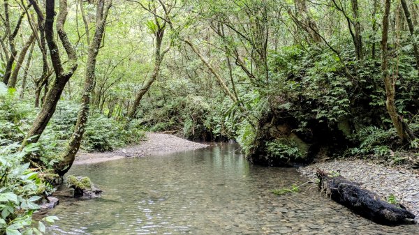 坪溪古道,石空古道2873480