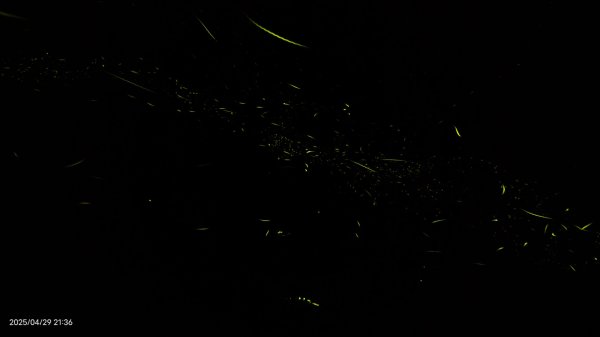 翡翠水庫壩頂 #火燒雲雲海 #日出雲海 #鱷魚島 #藍腹鷴 4/292773443