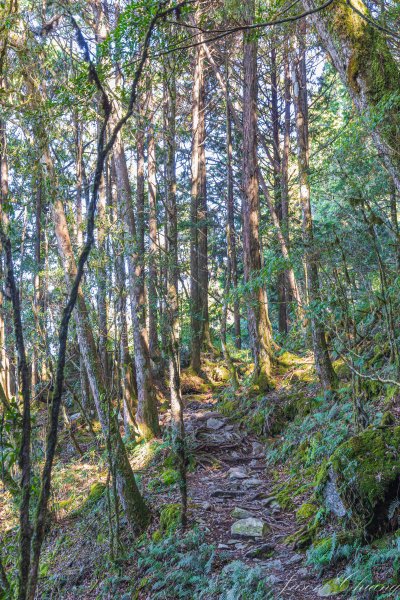 谷關七雄_八仙山2679621