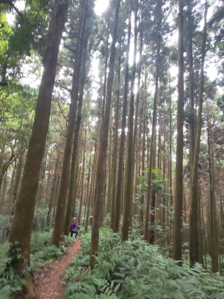 向天湖山(小百岳032 H1220M)2021-10-021478007