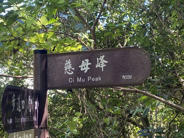 2025微笑山線大縱走尋寶集章任務-Ep.11【五分山系】平溪小黃山段｜慈母峰 × 孝子山2908903