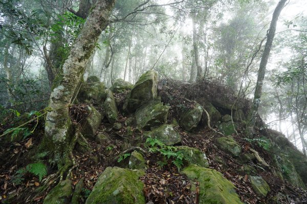 新竹 五峰 鬼澤山2634023