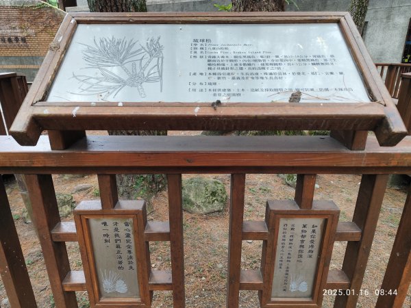 4-1 國立臺灣大學校園巡禮2691874