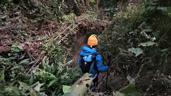 【苗栗郊山聖稜線】仙神象18連峰大縱走2675968