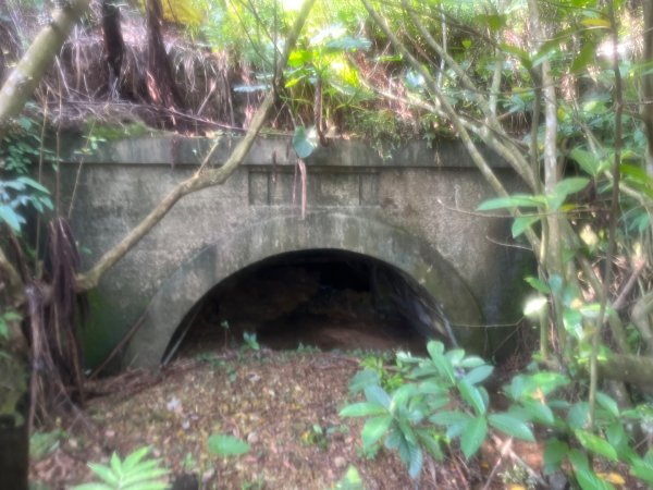 新北 瑞芳 無言的山丘2788489