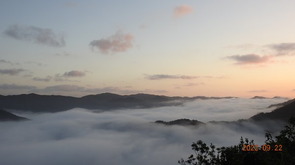 坪林開眼崙雲海+日出/月亮與石碇獵狸尖(梅樹嶺)雲海斜射光1852847