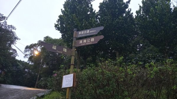 草嶺古道1614845