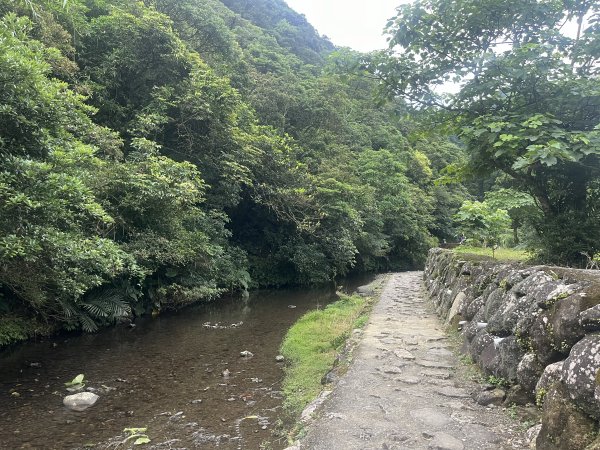 [淡蘭古道] 2024_0623 中路第五段-烏山越嶺古道2533838