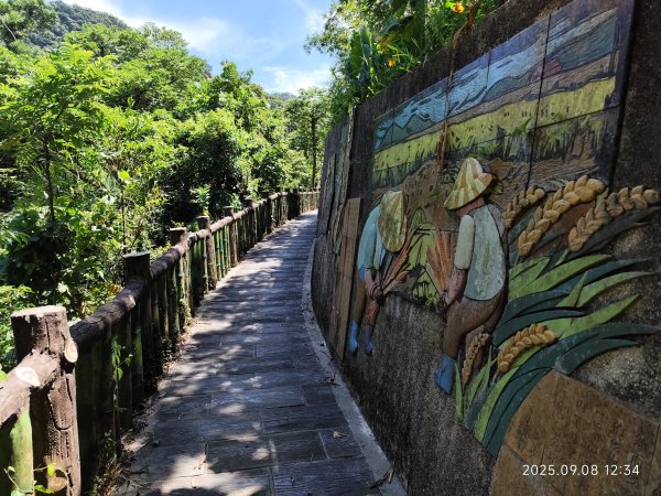 【臺北大縱走 7】2-2 指南宮貓空親山步道→壺穴步道→茶展中心步道→大成殿步道→指南宮竹柏參道2881867