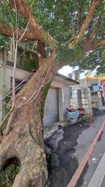 台北大縱走第一段1249168