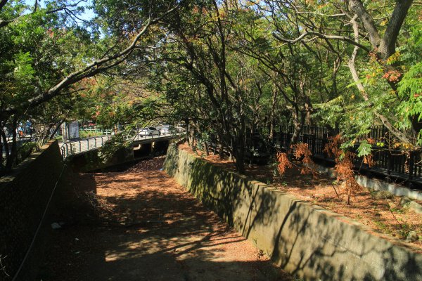 鰲峰山群帶遊之市鎮公園 202010101133993