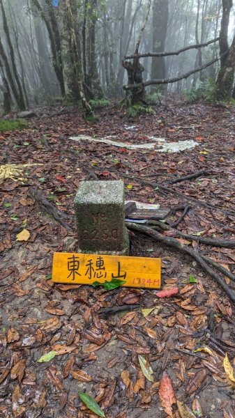 113.06.01魯壁山-東穗山之旅2529909