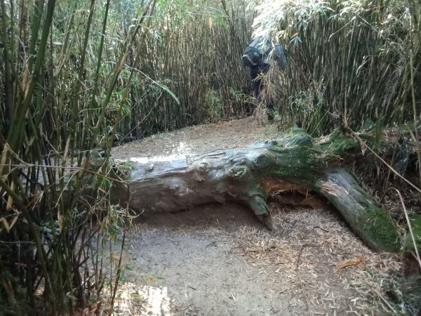 合歡西峰單攻1216978