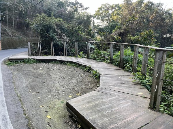 鹿谷長源圳生態步道2726264