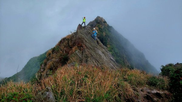 鋸齒稜直下半平大峭壁，讓人腎上腺素飆升的路線1915815