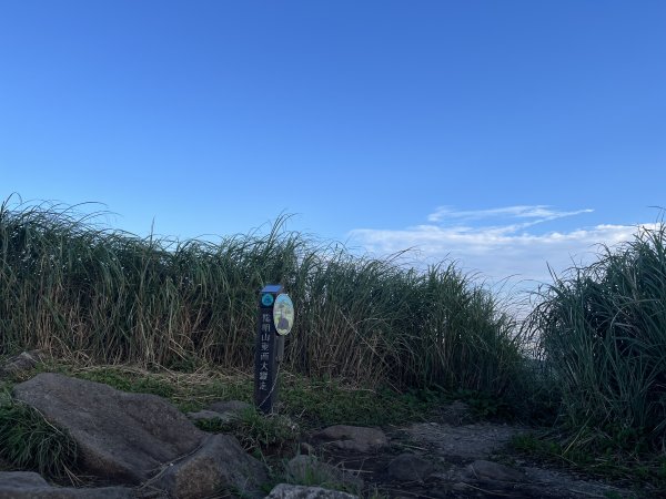 [臺北大縱走手拿牌-05/16] 第三段寶石手拿牌位置1: 七星山主峰活動柱2571339