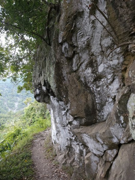 瓦拉米步道(登山口至佳心段)-(花蓮)臺灣百大必訪步道2789435