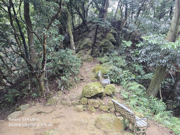 2026-03-21微笑山線：【鳶山山系】鳶山彩壁段3020470