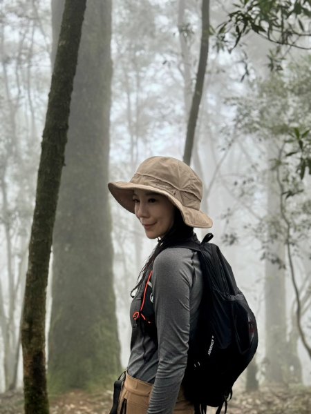 鳶嘴山-稍來山O型縱走(中級山 / 小百岳) 刺激攀岩。山嵐繚繞。傳神小象。杉樹林群。2583543