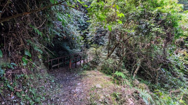 霞喀羅國家步道養老段2349344