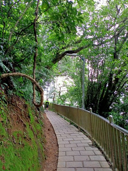 大湖公園 (防災公園)【走路趣尋寶】1899866