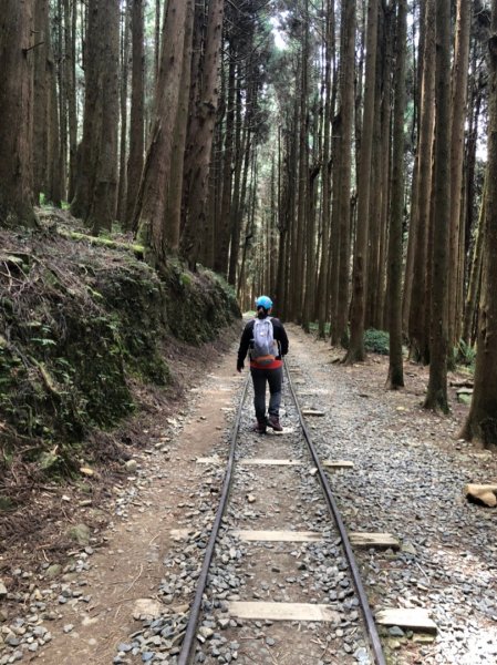 特富野古道893343