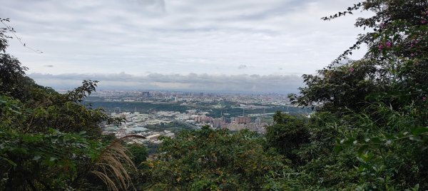 鳶山（福德坑山）2970876