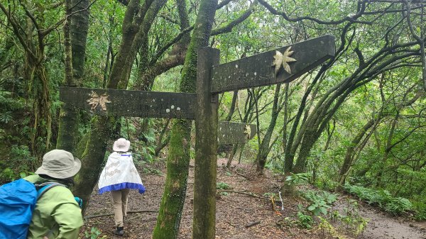 2025-01232淡蘭古道北二段(燦光寮古道到澳底)2696599