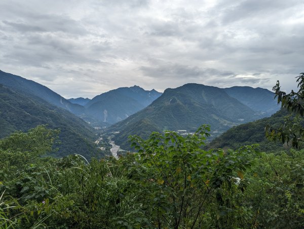 林相豐富＆可遠眺雲海的獵人古道1886301